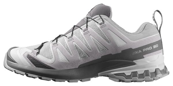 Scarpe da trail Salomon XA Pro 3D V9 GTX grigie da uomo