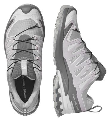 Scarpe da trail Salomon XA Pro 3D V9 GTX grigie da uomo
