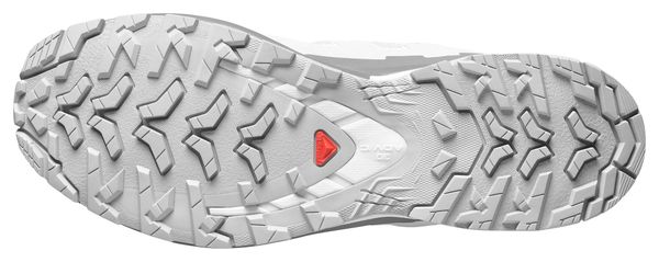 Scarpe da trail Salomon XA Pro 3D V9 GTX grigie da uomo
