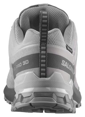 Scarpe da trail Salomon XA Pro 3D V9 GTX grigie da uomo