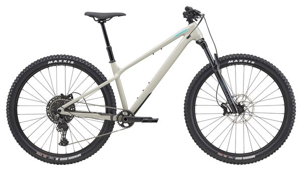 Cannondale Habit HT 1 Shimano 11-speed 29" Hardtail Mountain Bike, Gray