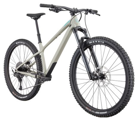 Cannondale Habit HT 1 Shimano 11-speed 29" Hardtail Mountain Bike, Gray