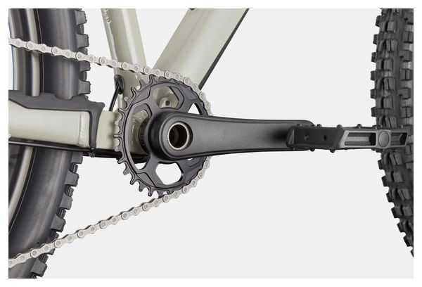 Cannondale Habit HT 1 Shimano 11-speed 29" Hardtail Mountain Bike, Gray