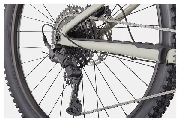 Cannondale Habit HT 1 Shimano 11-speed 29" Hardtail Mountain Bike, Gray