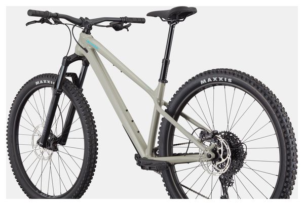 Cannondale Habit HT 1 Shimano 11-speed 29" Hardtail Mountain Bike, Gray