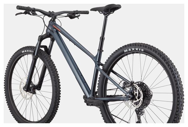 Cannondale Habit HT 1 Shimano 11-speed 29" Hardtail Mountain Bike, Navy Blue