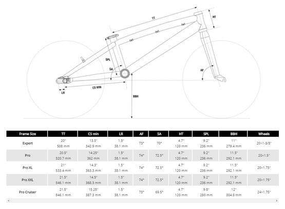 BMX Race Chase Element Expert Alu 20 Brown sand 2021