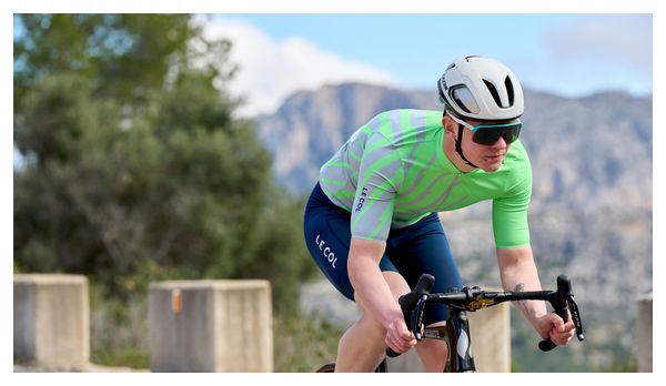Maillot Manches Courtes Homme Le Col Pro Vert/Gris
