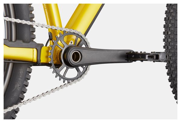 Cannondale Habit HT 2 Shimano 10-speed 29" Hardtail Mountain Bike, Yellow