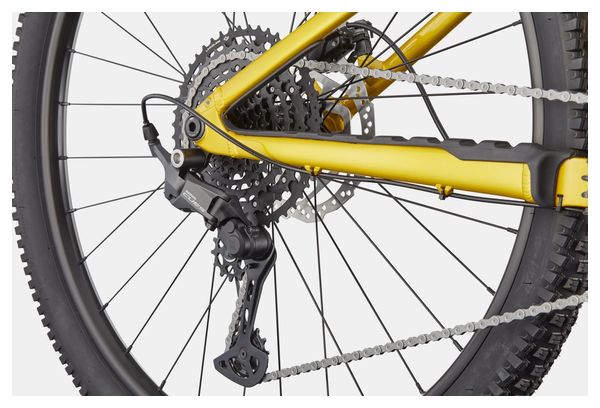 Cannondale Habit HT 2 Shimano 10-speed 29" Hardtail Mountain Bike, Yellow