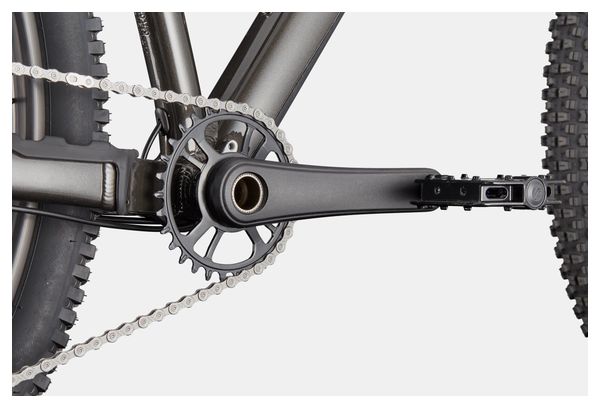 Cannondale Habit HT 2 Shimano 10V 29'' zwart hardtail mountainbike