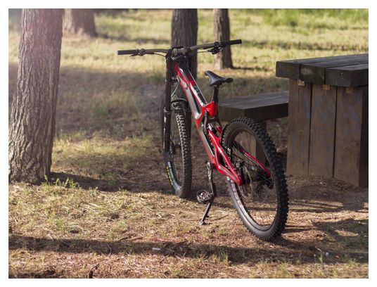 All Mountain Style AMS Kickstand