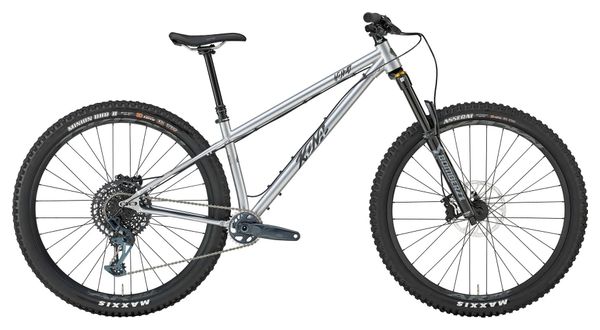Kona Honzo ESD Mountainbike mit Sram GX Eagle 12V, 29 Zoll, Silber 
