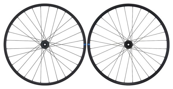 Ritchey WCS Zeta GX wielen 700 mm | 100x12mm / 142x12mm | Zwart