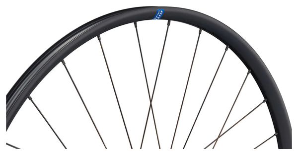 Ritchey WCS Zeta GX wielen 700 mm | 100x12mm / 142x12mm | Zwart