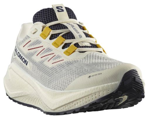 Salomon Aero Blaze 3 GRVL GTX Beige/Blue Scarpe da corsa per uomo