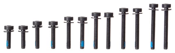 MAGURA Set of FLATMOUNT Screws for Rear Wheel 