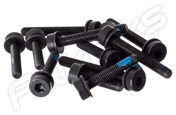 MAGURA Set of FLATMOUNT Screws for Rear Wheel 