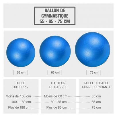 Swiss ball - Ballon de gym - Tailles : 55 cm  65 cm  75 cm - Couleur : BLEU - Diamètre : 75 CM