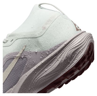 Nike ACG Pegasus Trail GTX Trail-Schuhe für Damen, grün/lila