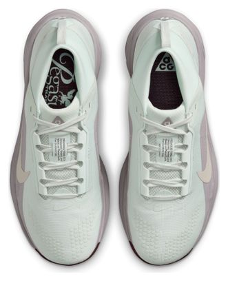 Nike ACG Pegasus Trail GTX Trail-Schuhe für Damen, grün/lila