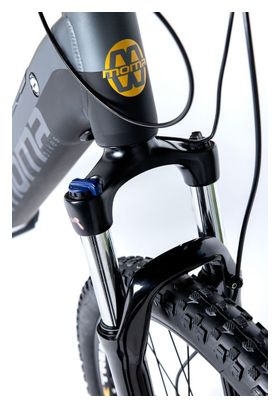 VTT Électrique VAE  EMTB-29  Moteur Central  Full Suspension    SHIMANO ALTUS 8 Vitesses et Freins a disque Hydraulique  Batterie Intégrée  Ion Lithium 48V 13Ah