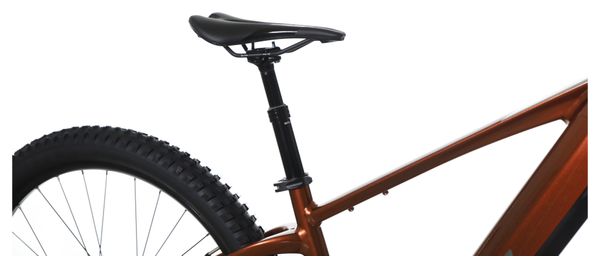 VTT électrique SUNNY BROWN 750W Tout Terrain - 20 Pouces - Adulte - Noir