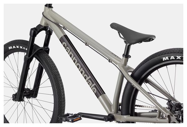 Cannondale Dave Single Speed 26' Dirt Bike Stealth Grey