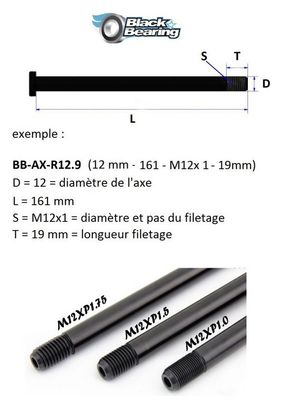 Axe de roue Blackbearing - F15.1QR - (15 mm - 125 - M15x1 5