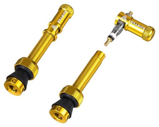 Coppia di valvole Tubeless Granite Design Juicy Nipple 45mm con tappi Bus Remover dorati