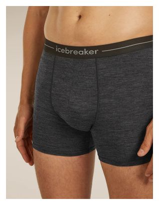 Boxer Icebreaker Anatomica Grigio Uomo 