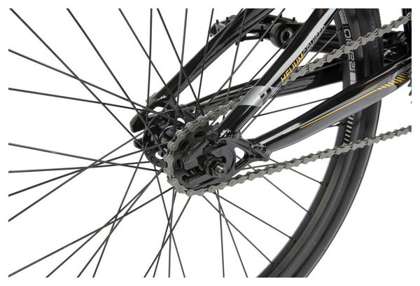 BMX Race Radio Bikes Helium Cruiser Pro XL Schwarz / Gold 2021