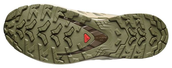Zapatillas Trail Salomon XA Pro 3D v9 GTX Verde/Beige Hombre