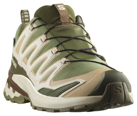 Zapatillas Trail Salomon XA Pro 3D v9 GTX Verde/Beige Hombre