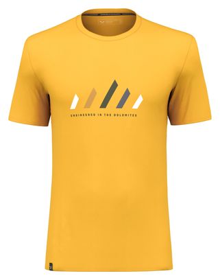Camiseta Salewa Pure Stripes Dry Yellow