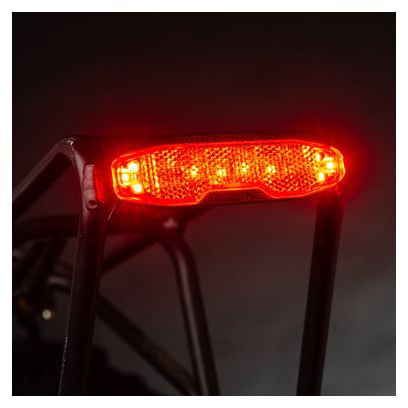 Luce posteriore Lezyne E-Bike STVZO Alert