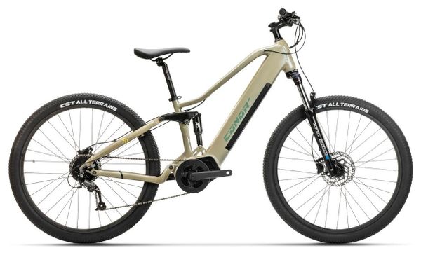 VTT Électrique ADRA SPECIAL Electric 29"