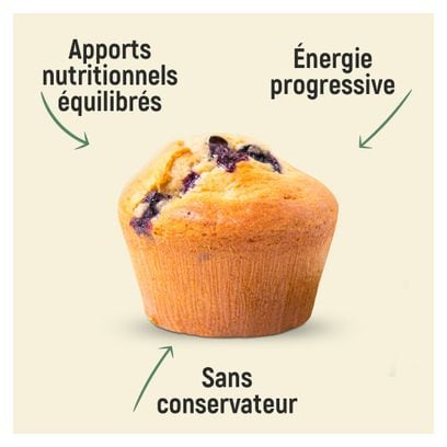 OVERSTIMS GATOSPORT Energy Kuchen Muffins Blueberry 400g