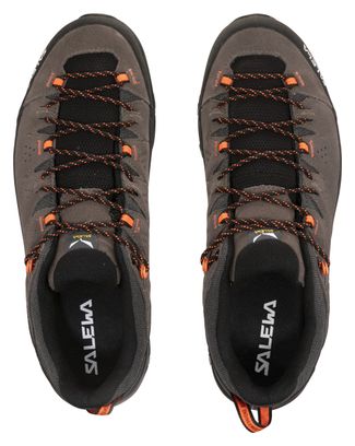 Chaussures de Randonnée Salewa Alp Trainer 2 Marron