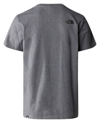 Camiseta The North Face Simple Dome Gris