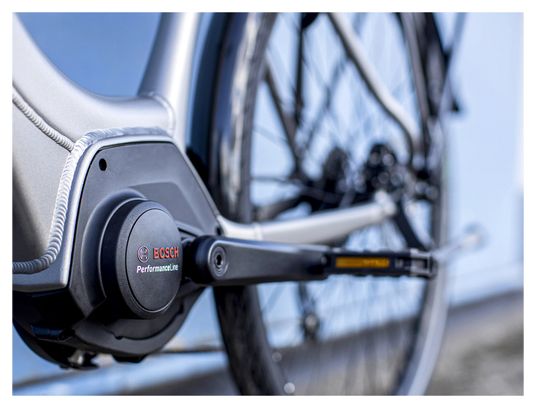 Trek Verve City Bike elettrica + 2 Lowstep Bosch 400wh Shimano Altus 9V Matte Gunmetal 2023