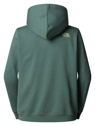 Sweat à Capuche The North Face Drew Peak Hoodie Vert Homme