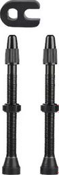 Lot de 2 valves noires Tubeless 60 mm