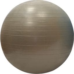 Gymball Sporti France 55cm