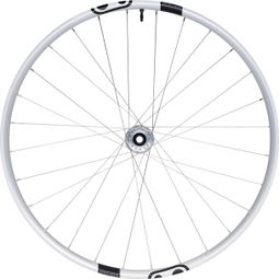 Crankbrothers Synthesis Enduro Alloy 2.0 I9 29'' | Boost 15x110mm | 6 agujeros | Plata rueda delantera