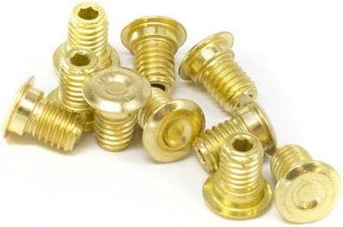 E-Thirteen Kit 10 Pins For LG1+ Pedals - 1mm - Gold