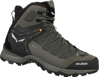 Salewa Mtn Trainer Lite Mid Gtx Brown Hiking Boots