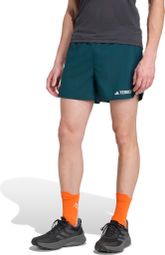 Adidas Terrex Xperior 5in Shorts Grün Mann