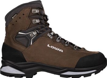 Lowa Camino Evo GTX hiking boot Brown for men