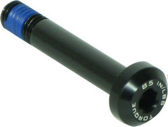 Tornillo de suspensión Trek M8 x 1,25 x 48